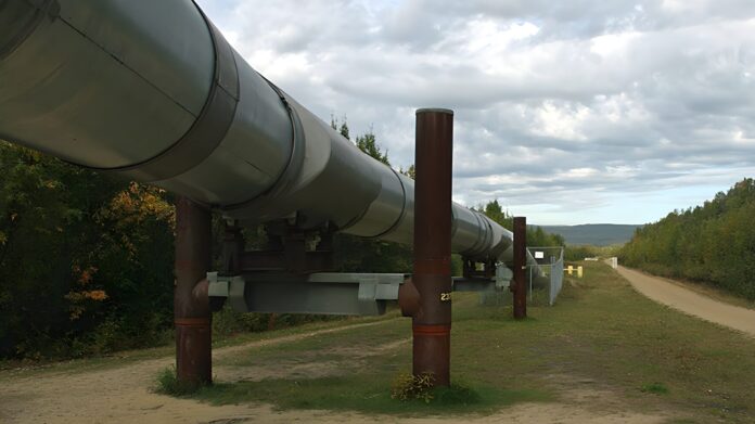 Comunità Europea: “In un anno tagliata la dipendenza energetica dalla Russia”