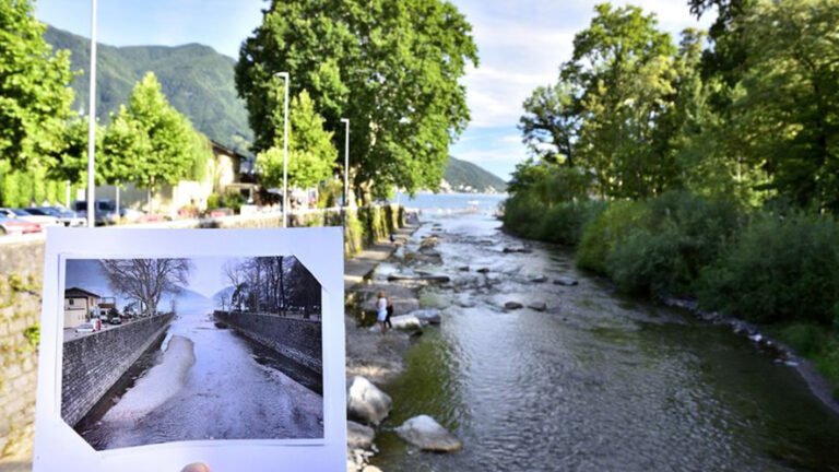 lugano scuole