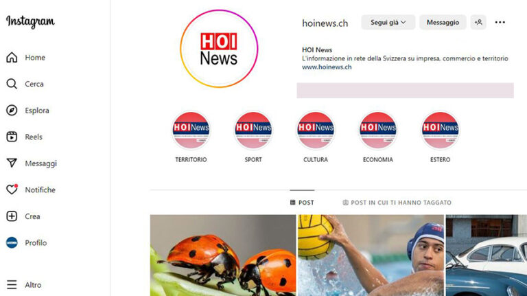 hoi news