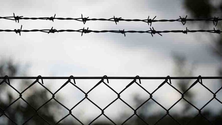 filo spinato torture