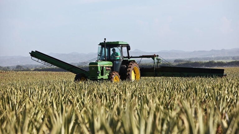 Agricoltura Usa: ottimi dati, in cinque anni i ricavi a più 38%