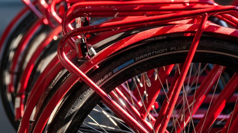 Lugano: asta pubblica di biciclette per beneficenza