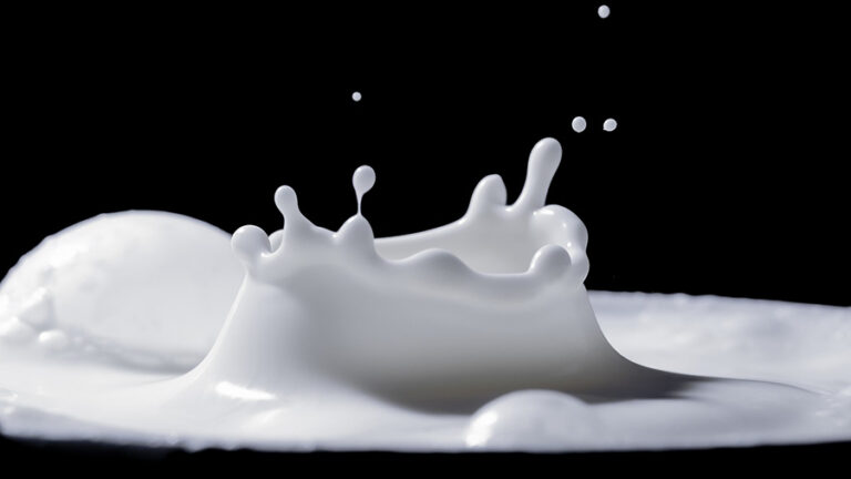 Oltre 50 milioni di contatti raggiunti dal progetto “Think Milk, Taste Europe, Be Smart”