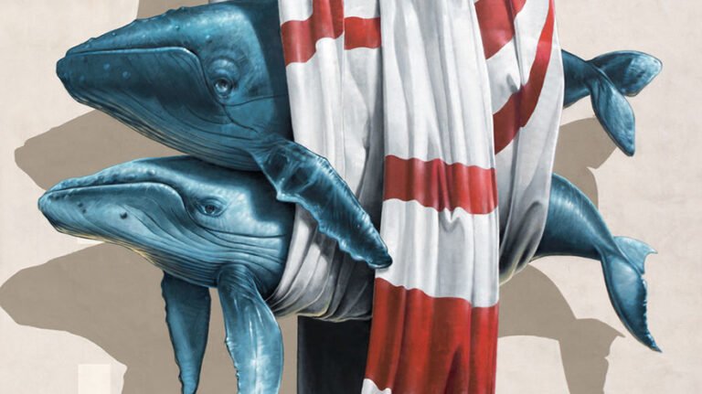 Quando in banca trovi una mostra d’arte diffusa dedicata al duo di street artisti svizzeri Nevercrew