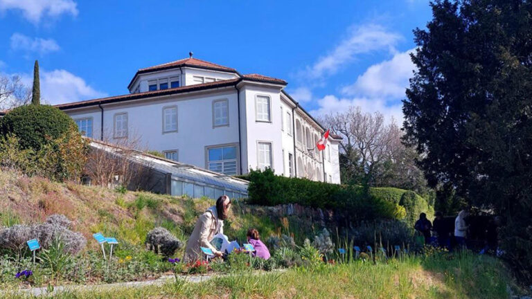 Al Museo Vincenzo Vela la primavera arriva con un soffio di semi