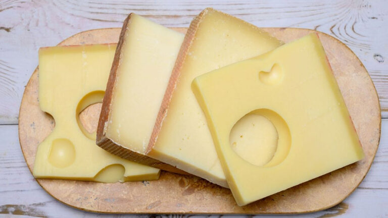 La Svizzera come un partner commerciale di primaria importanza per l’Unione Europea