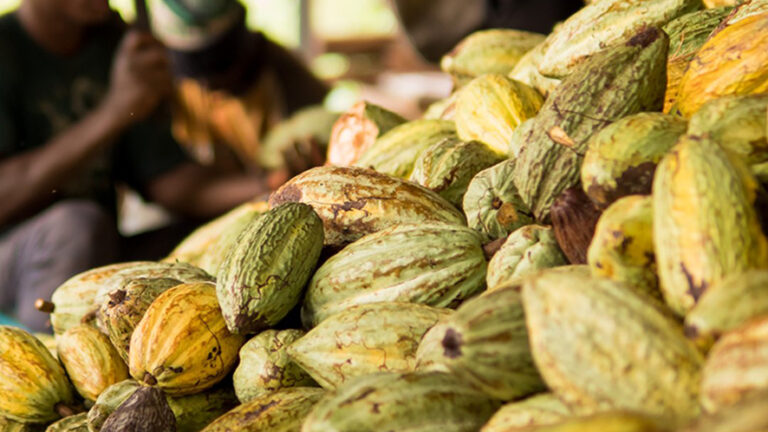 Bellinzona impegnata da cinque anni per il commercio equo