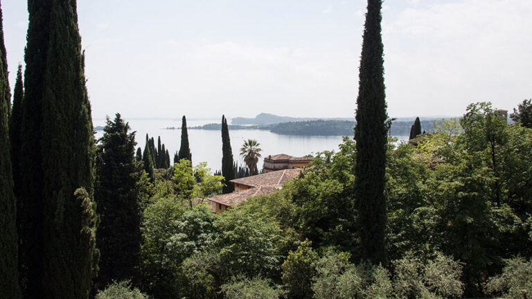 In Svizzera si contano oltre 600 specie di piante esotiche