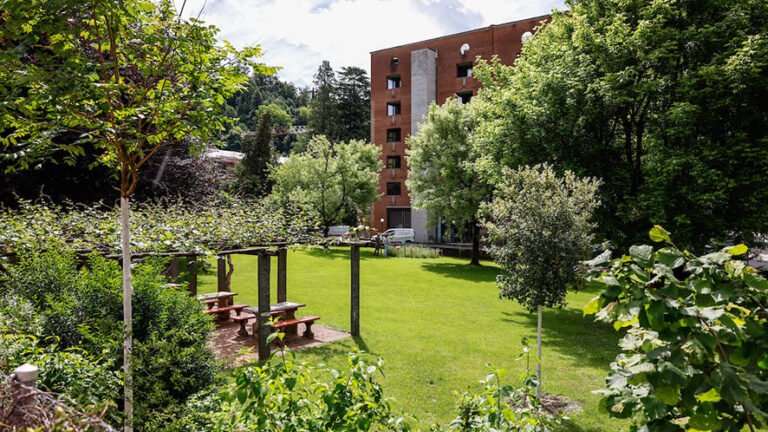 A Lugano inaugurato il Parco Kiwi a Viganello