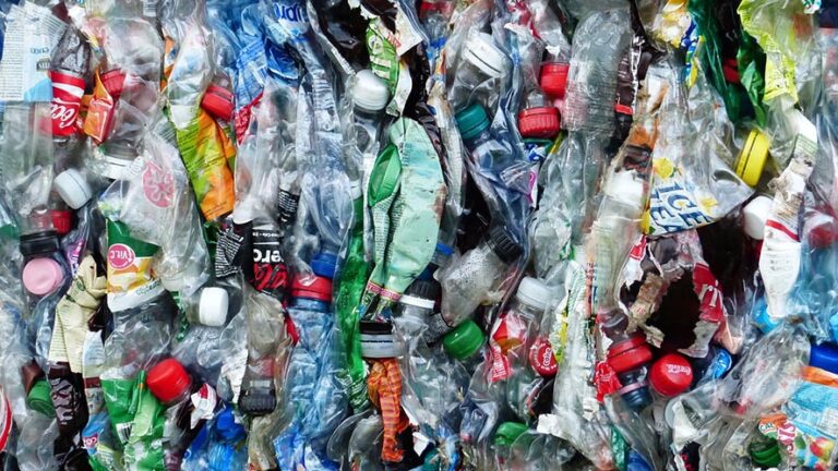 Raccolta e separazione della plastica: da settembre un nuovo sacco, per una gestione effettuata interamente sul territorio