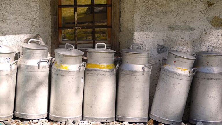 Caseifici: un’esperienza per veri intenditori, l’autenticità e la bontà delle terre ticinesi