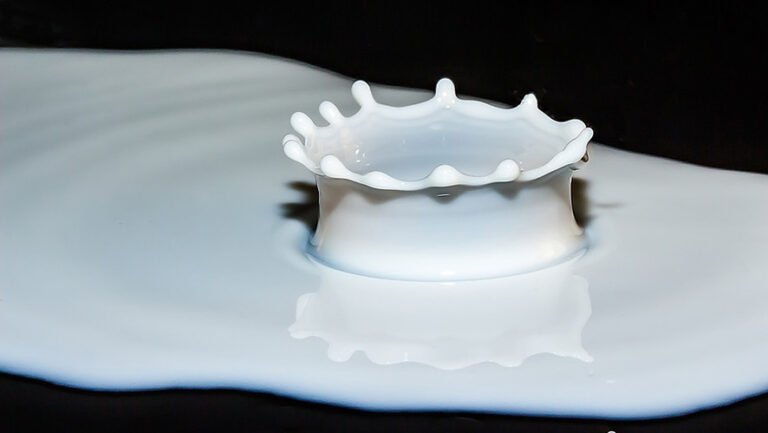 Multinazionali in Svizzera: Nestlè, la più grande realtà del mondo attiva nel settore alimentare