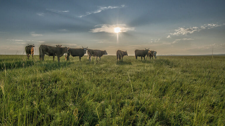 Il bilancio del clima a luglio in Ticino: il mese più caldo dal 1864