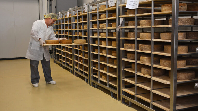 I formaggi di qualità della Cetra Alimentari al Prix SVC Svizzera italiana