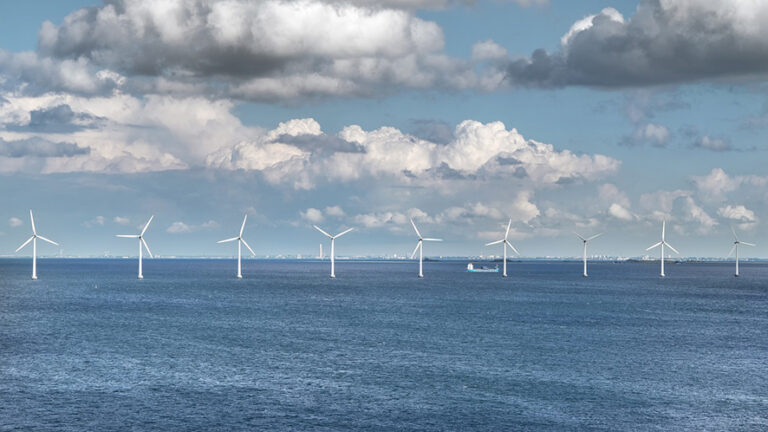 Fare del bene attraverso la scienza: la storia di Ollum e Benefficienza 