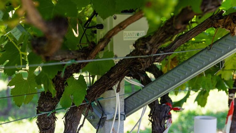 Agricoltura: climate change e desertificazione aumentano i problemi e il contadino hi-tech ha la soluzione