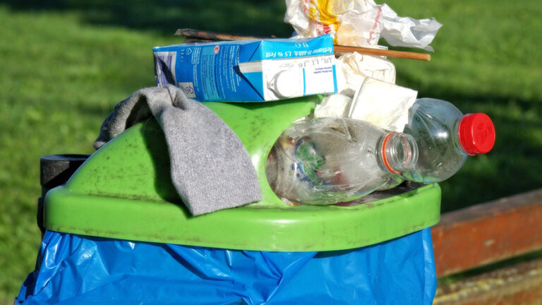 In Europa lo spreco alimentare cresce: oltre 132 chilogrammi di rifiuti alimentari per cittadino