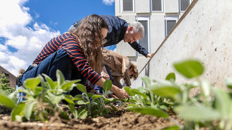 Il WWF valuta la sostenibilità delle università svizzere