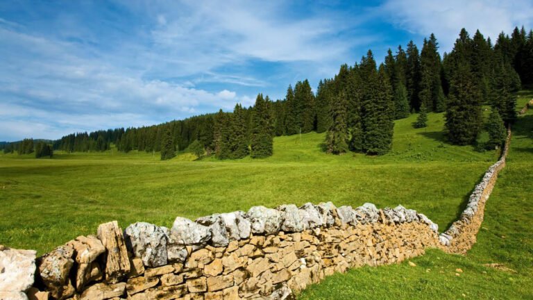 Jura vaudois