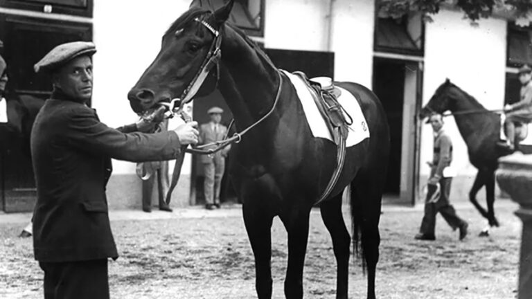 Nearco: il leggendario cavallo campione italiano che ha dominato le corse del XX secolo