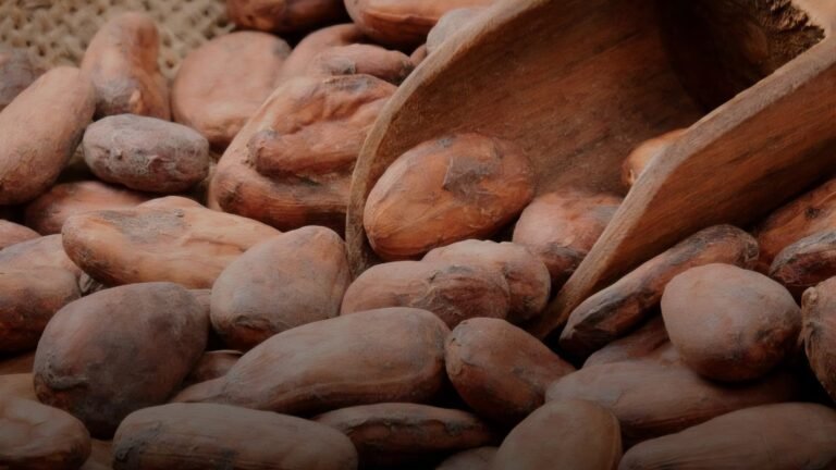 Vent’anni, venti acquisizioni: la Ferrero non cresce, conquista