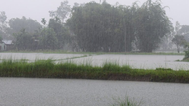 La BCE introduce il fattore climatico per la gestione dei rischi finanziari