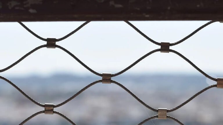 Richiedenti asilo: la Corte UE stabilisce obblighi inderogabili per gli Stati