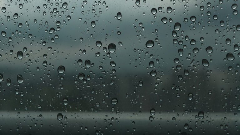 Svizzera: sfruttare il potenziale dell’acqua piovana per affrontare la siccità