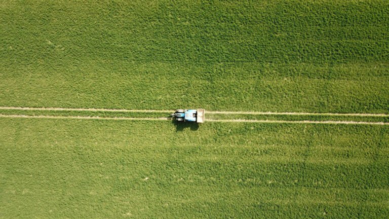 Fertilizzanti, prezzi alle stelle: +11% nel primo trimestre