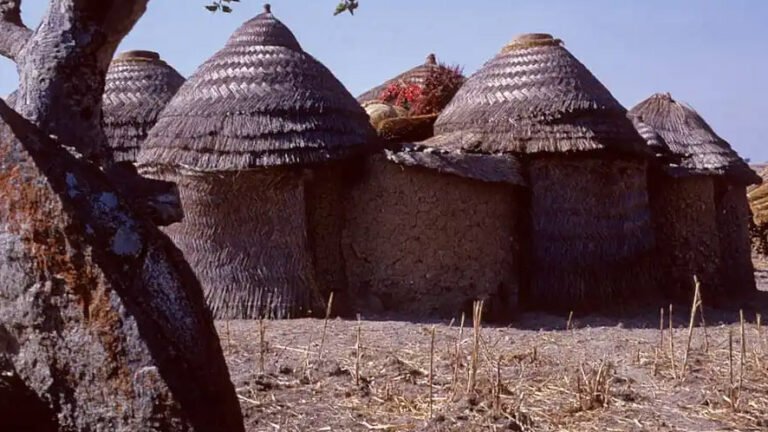 Lusso e scandalo a Ginevra: i retroscena della famiglia al potere in Camerun