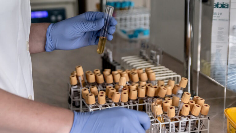 Lotta globale al mercurio: la Svizzera protagonista alla COP6