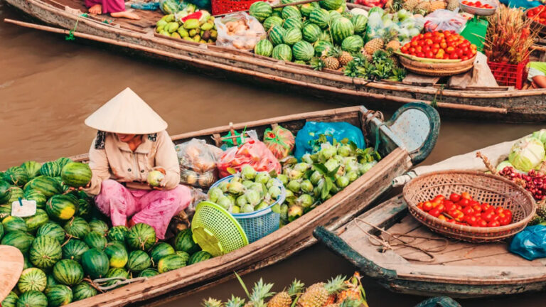 Speciale Indocina: Svizzera-Vietnam, un partenariato strategico