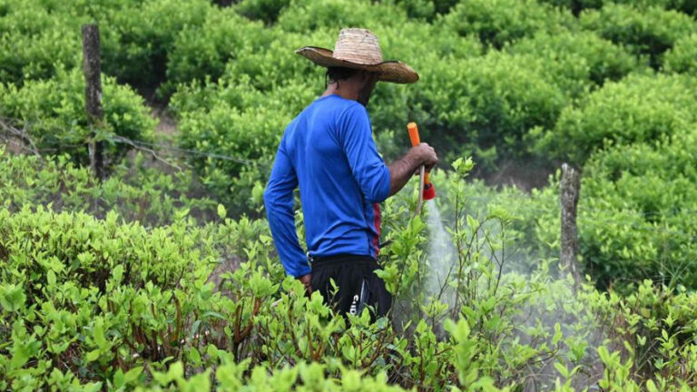 Focus droga: il narcotraffico e la criminalità organizzata in America latina