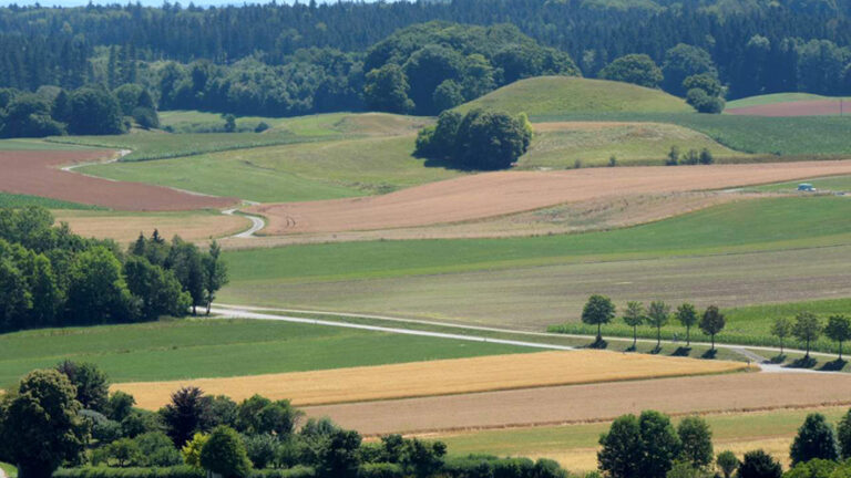 Agricoltura biologica in Europa: crescita insufficiente e il traguardo del Green Deal a rischio