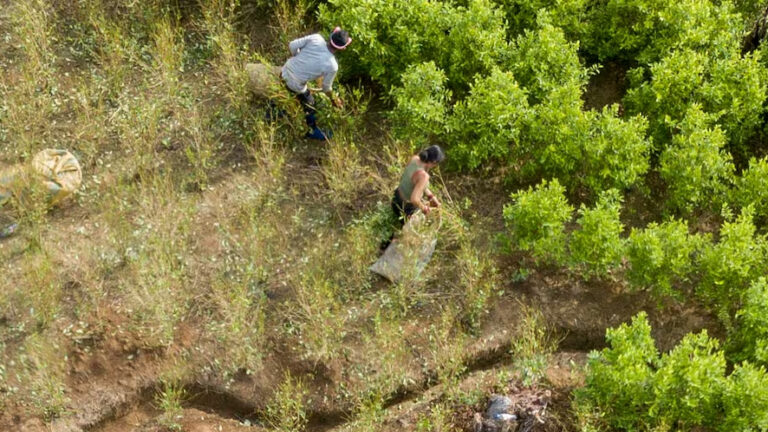 Colombia e USA riaprono il dialogo sul narcotraffico