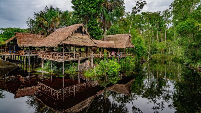 I laghi dell’Amazzonia bollenti: le vasche idromassaggio del clima impazzito