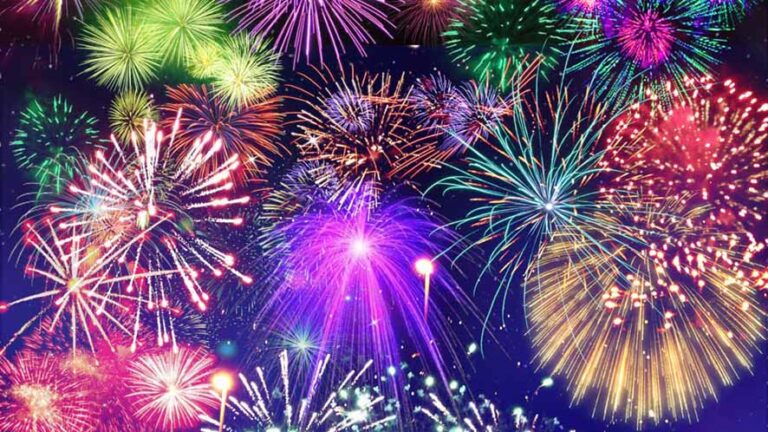 Capodanno in Svizzera: come proteggere gli animali da botti e petardi