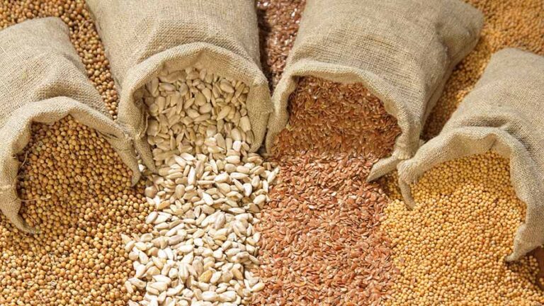 Nuove norme UE sul materiale riproduttivo vegetale: il Consiglio avvia la riforma