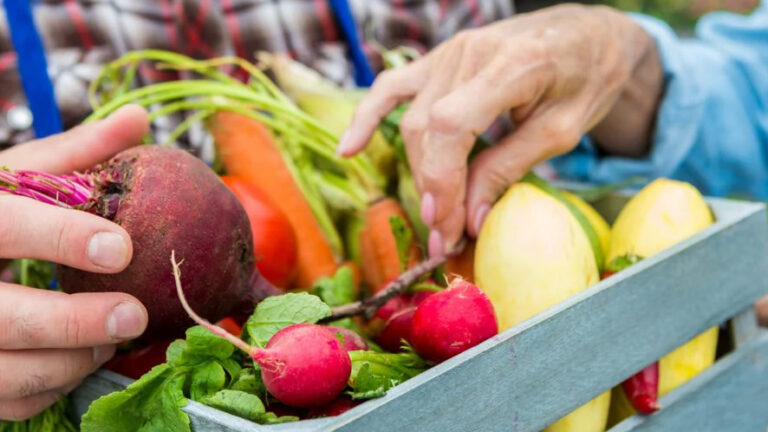 Eurobarometro: record di sostegno all’UE