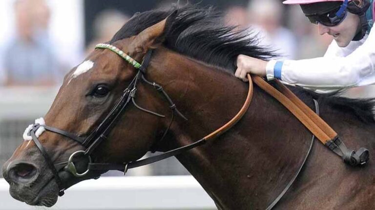 Le regine del Galoppo: come si determina la migliore Scuderia al mondo