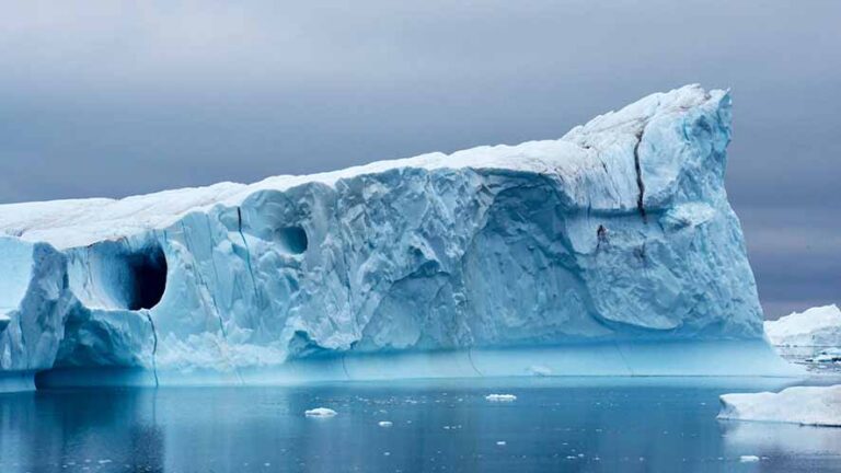 Almeno la metà dei ghiacciai scomparirà entro il 2100: l’allarme degli scienziati