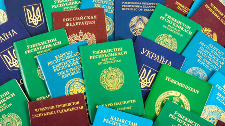 Perchè i passaporti hanno colori diversi?