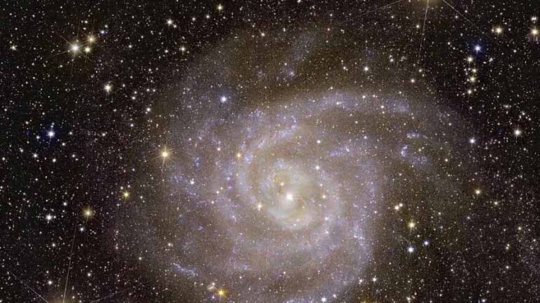 La Ghirlanda cosmica svelata dal Telescopio Euclid