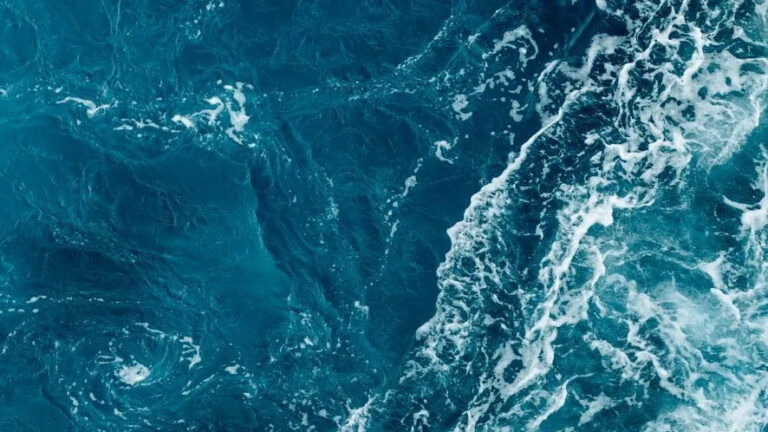 Monaco capitale della Blue Economy: due eventi strategici per il futuro degli oceani