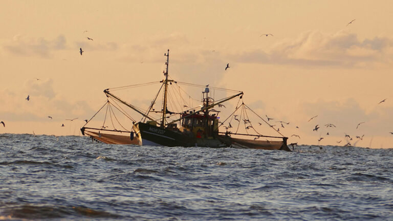 Quote pesca per Atlantico, Mediterraneo e Mare del Nord