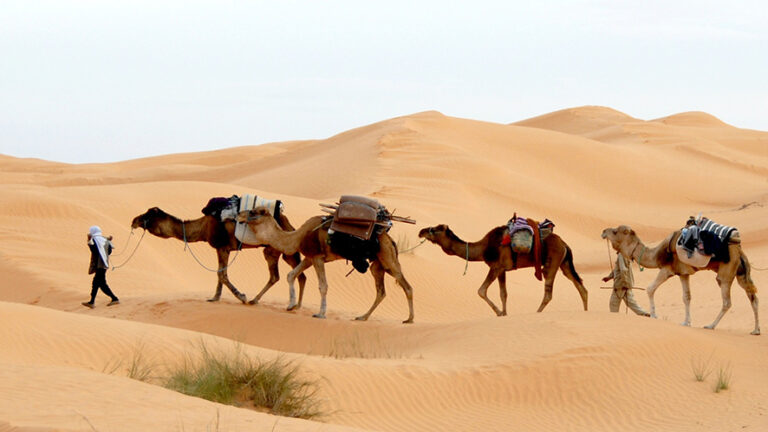 Turismo in Tunisia: record storico nel 2025 con oltre 11 milioni di arrivi