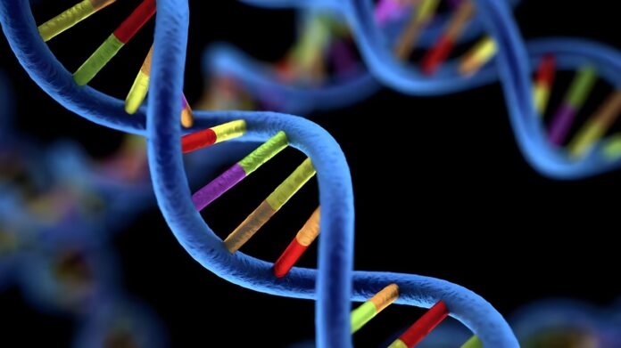 ai Il destino nel DNA e l’IA: la scienza riscrive il futuro tra cure e rischi