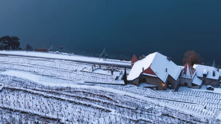 Un patrimonio UNESCO da scoprire: i vigneti terrazzati del Lavaux