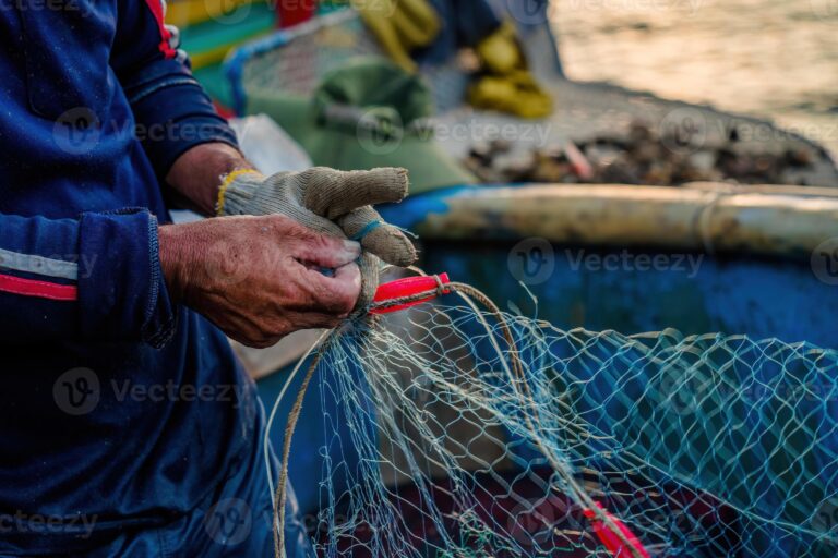 Pesca: il Consiglio UE per modernizzare i dati e sostenere l’economia blu sostenibile