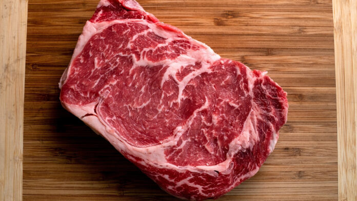 “Ripartire da Lucy per capire il ruolo della carne”: il legame tra evoluzione e proteine animali